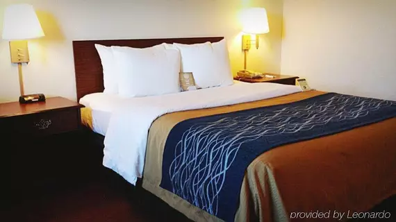 Comfort Inn Tacoma | Washington - Tacoma (ve civarı) - Tacoma