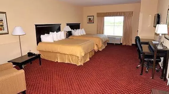 Comfort Suites West Memphis | Arkansas - Batı Memphis (ve civarı) - Batı Memphis