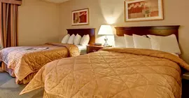 Comfort Inn and Suites Ingersoll | Ontario - London (ve civarı) - Ingersoll