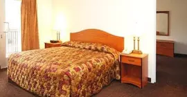 Econo Lodge Inn & Suites Oakland Airport | Kaliforniya - Oakland (ve civarı) - Oakland