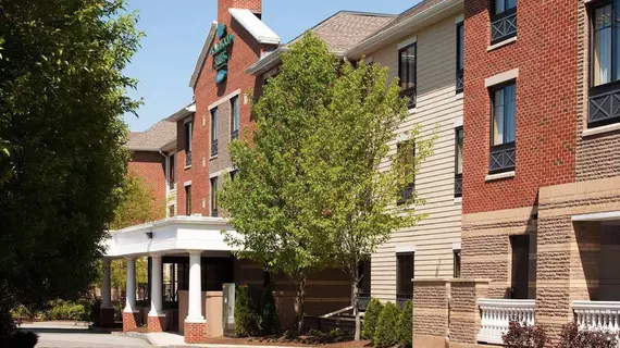 Homewood Suites by Hilton Cambridge-Arlington | Massachusetts - Boston (ve civarı) - Arlington