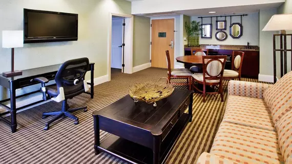 Holiday Inn Express Hotel & Suites Atlanta Buckhead | Georgia - Atlanta (ve civarı) - Atlanta - Buckhead