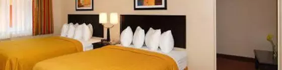 Quality Inn & Suites Anaheim at the Park | Kaliforniya - Orange County - Anaheim - Anaheim Resort