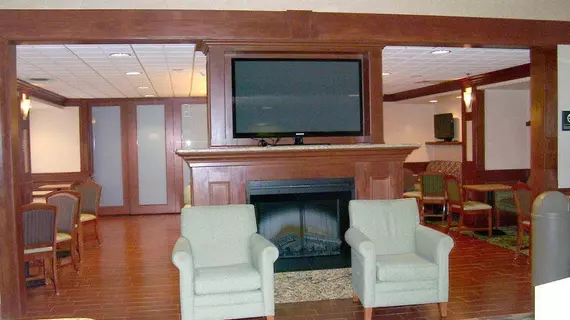 Hampton Inn Detroit/Belleville-Airport Area | Michigan - Detroit (ve civarı) - Belleville