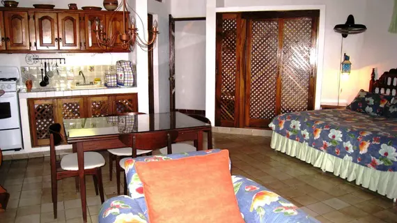 Casa Anita | Nayarit - Bahía de Banderas - Puerto Vallarta (ve civarı) - Puerto Vallarta - Romantic Zone