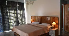 Hotel Manali Mahal | Himaşal Pradeş - Manali (ve civarı) - Kullu - Manali - Manali Yeni Kent Merkezi