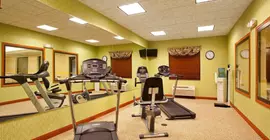 Holiday Inn Express Hotel & Suites Goshen | Indiana - South Bend (ve civarı) - Goshen