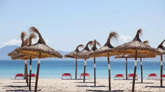 Los Tamarindos | Balearic Adaları - Mayorka Adası - Alcudia