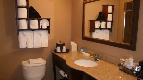 Hampton Inn Houston Near the Galleria | Teksas - Houston (ve civarı) - Houston - The Galleria Alışveriş Merkezi