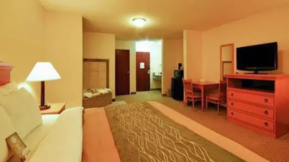 Comfort Inn Lancaster County | Pensilvanya - Lancaster (ve civarı) - Columbia