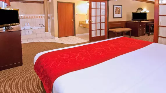 Comfort Suites North/Galleria | Teksas - Dallas (ve civarı) - Dallas - Addison - Galleria