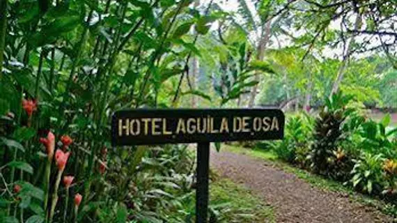 Aguila de Osa Inn | Puntarenas (ili) - Drake Bay