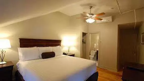 Inn on St Ann | Louisiana - New Orleans (ve civarı) - New Orleans - French Quarter (Fransız Mahallesi)