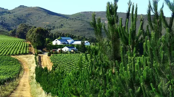 Marianne Wine Estate | Western Cape (il) - West Coast DC - Drakenstein - Cape Town (ve civarı) - Stellenbosch