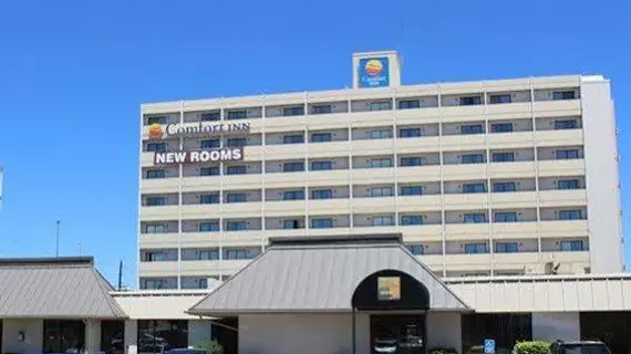 Comfort Inn Central | Kolorado - Denver (ve civarı) - Denver