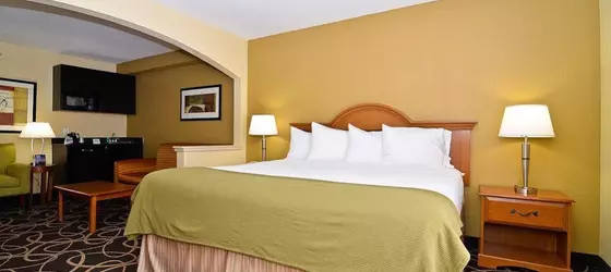 Holiday Inn Express Atlanta-Stone Mountain | Georgia - Atlanta (ve civarı) - Lilburn