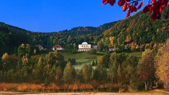 Sheraton Fuschlsee-Salzburg Hotel Jagdhof | Salzburg (eyalet) - St. Gilgen - Salzburg-Umgebung District