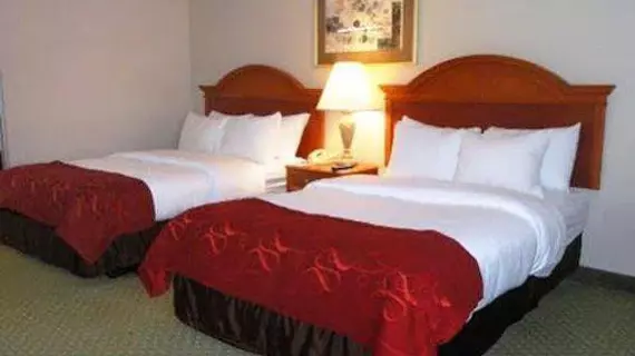 Comfort Suites University | Louisiana - Baton Rouge (ve civarı) - Baton Rouge