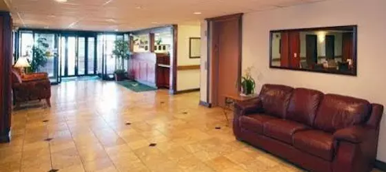 Quality Inn and Suites | Michigan - Detroit (ve civarı) - Romulus