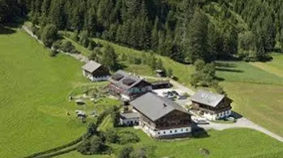 Natur Residenz Blaslerhof | Trentino-Alto Adige - Güney Tirol (il) - Valle di Casies - Prateria