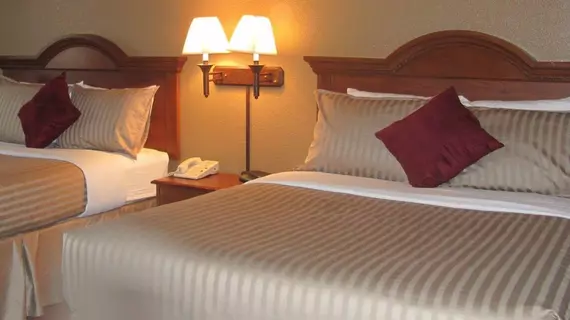 Dollinger's Inn & Suites | New York - Rochester (ve civarı) - Brockport