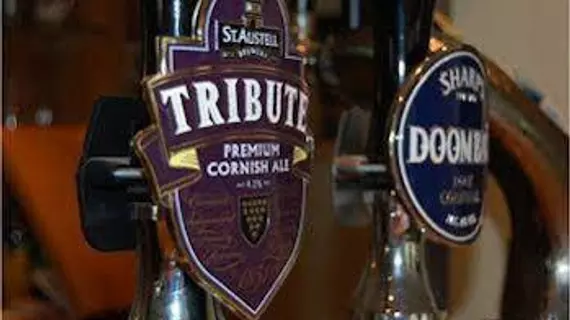 The Tradesmans Arms | Devon (kontluk) - Newton Abbot - Michelcombe