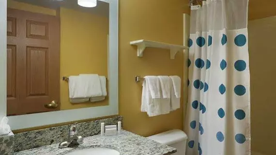 TownePlace Suites Tampa North I-75 Fletcher | Florida - Tampa (ve civarı) - Tampa - Temple Terrace