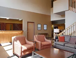 Best Western Chelsea Inn & Suites | Minnesota - Monticello (ve civarı) - Monticello