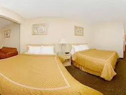 Comfort Suites Corbin | Kentucky - Corbin (ve civarı) - Corbin