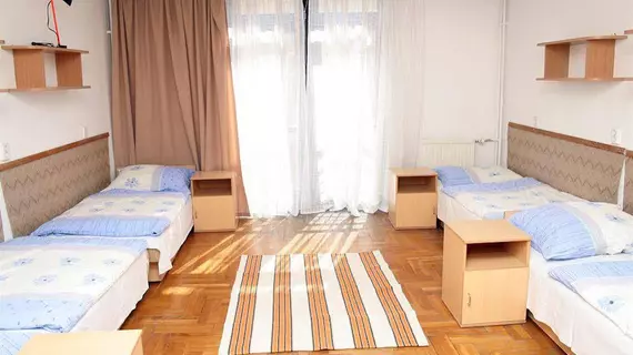 Rozsa Street Guesthouse | Pest County - Budapeşte (ve civarı) - Budapeşte Kent Merkezi - Erzsebetvaros