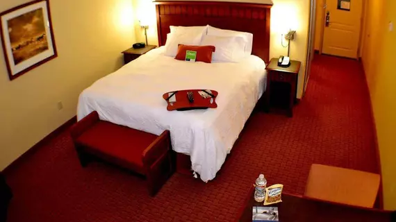 Hampton Inn & Suites Green River | Wyoming - Rock Springs (ve civarı) - Green River