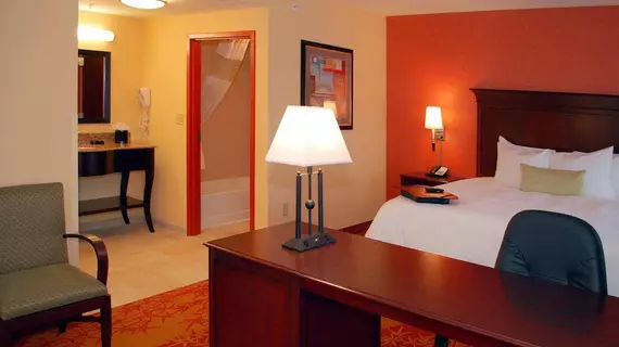 Hampton Inn & Suites Denver/Highlands Ranch | Kolorado - Denver (ve civarı) - Littleton