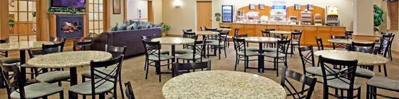 Holiday Inn Express Hotel & Suites Chesterfield - Selfridge Area | Michigan - Detroit (ve civarı) - Chesterfield