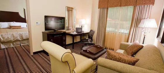 Homewood Suites Lafayette-Airport | Louisiana - Lafayette (ve civarı) - Lafayette