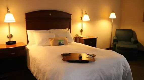 Hampton Inn Springfield-South | Missouri - Springfield (ve civarı) - Springfield