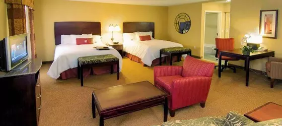 Hampton Inn and Suites San Antonio Airport | Teksas - San Antonio (ve civarı) - San Antonio - Kuzey San Antonio - SAT Havalimanı