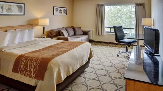 Comfort Inn Simcoe | Ontario - Niagara Regional Belediyesi - Hamilton (ve civarı) - Simcoe