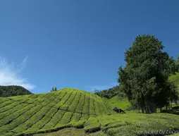 Cameron Highlands Resort | Pahang - Tanah Rata