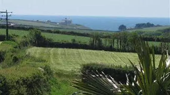 Tregaddra Farm Bed & Breakfast | Cornwall (kontluk) - Helston