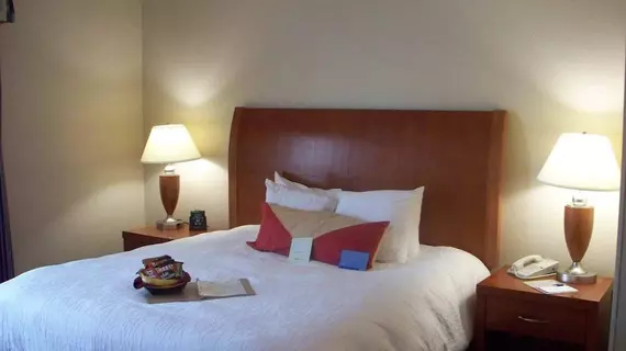 Hilton Garden Inn Washington DC/Greenbelt | Maryland - College Park (ve civarı) - Greenbelt