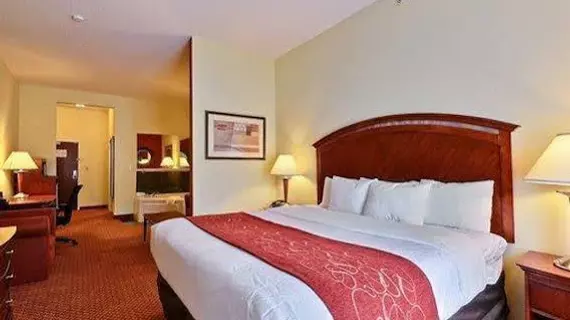 Comfort Suites Indianapolis Airport | Indiana - Indianapolis (ve civarı) - Indianapolis