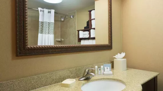 Hampton Inn Houston Near the Galleria | Teksas - Houston (ve civarı) - Houston - The Galleria Alışveriş Merkezi