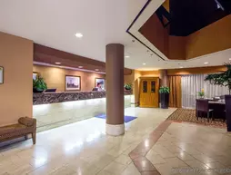 Embassy Suites San Antonio - International Airport | Teksas - San Antonio (ve civarı) - San Antonio - Kuzey San Antonio - SAT Havalimanı