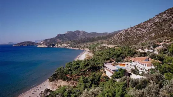 Golden Sand | Kuzey Ege Adaları - Samos