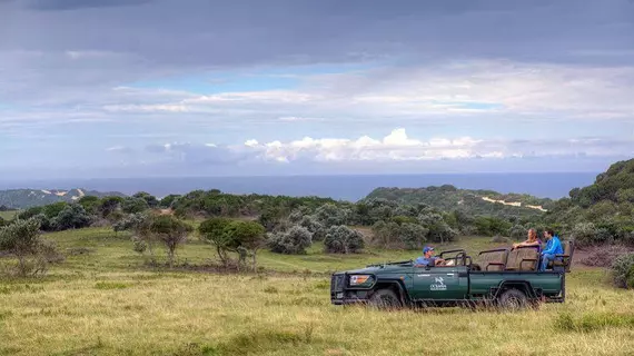 Oceana Beach and Wildlife Reserve | Eastern Cape - Ndlambe - Port Alfred