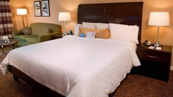 Hilton Garden Inn St. Louis Airport | Missouri - St. Louis (ve civarı) - Berkeley