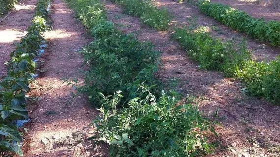 Agriturismo Baratz | Sardinya - Sassari - Algero