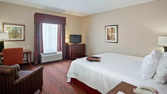 Dollinger's Inn & Suites | New York - Rochester (ve civarı) - Brockport