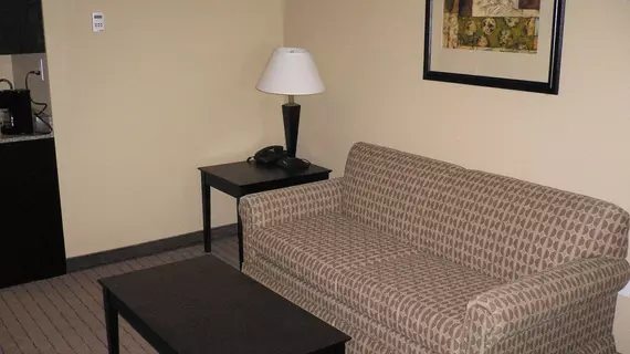 Holiday Inn Express Hotel & Suites | Indiana - Indianapolis (ve civarı) - Shelbyville