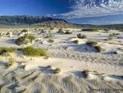 Misión Marielena | Coahuila - Cuatro Cienegas